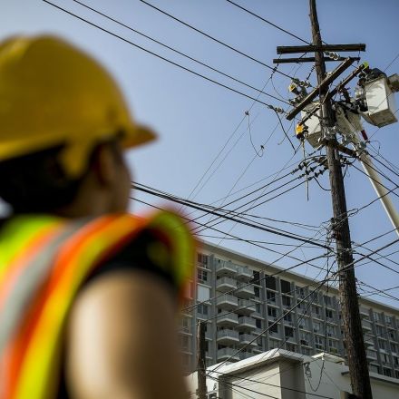 Puerto Rico Says It's Scrapping $300M Whitefish Contract