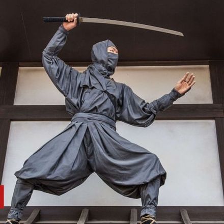 Japan city's plea: 'No ninjas needed'