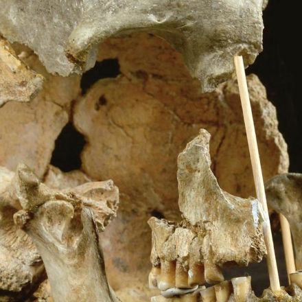 'Creative' genes gave Homo sapiens edge over Neanderthals: study