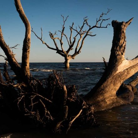 Rising sea levels threaten the lives and livelihood of those on a fragile U.S. coast