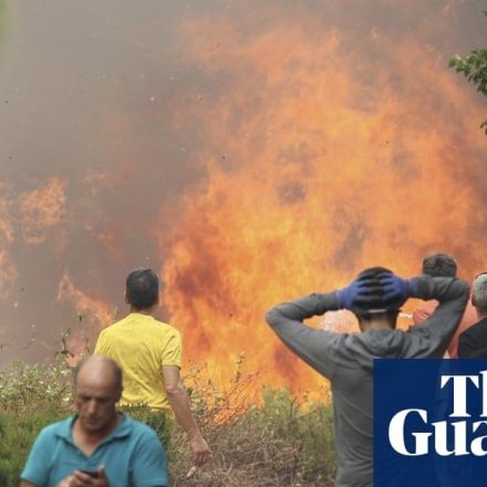 Wildfires in Europe burn area equivalent to one-fifth of Belgium