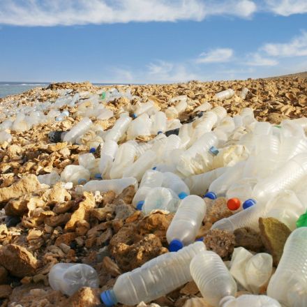 If we care about plastic waste, why won’t we stop drinking bottled water?