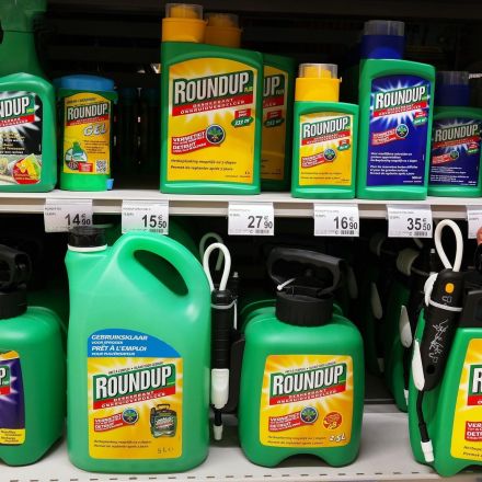 Weedkiller products more toxic than their active ingredient, tests show