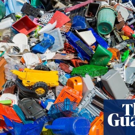 Scientists find bug that feasts on toxic plastic
