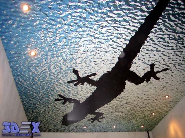 Amazing 3d ceiling mural design 2017 for new bathrooms and kitchen ceiling