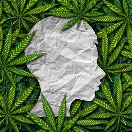 Marijuana use may damage brain immune cells vital to adolescent development 