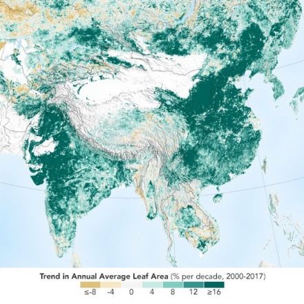 China and India Lead the Way in Greening