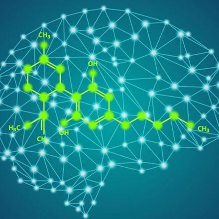 CBD blunts the negative impact of THC on the brain, according to new neuroimaging research