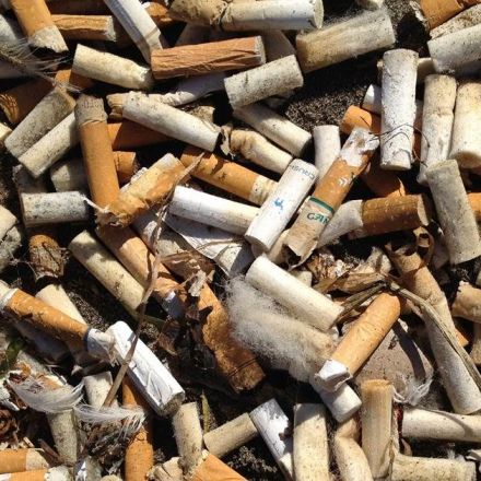 Critics say cigarette filters, a health and environmental scourge, must go
