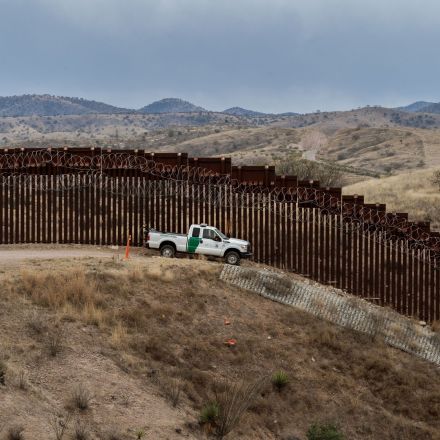 Eight species at risk of extinction in Arizona due to Trump's border wall construction