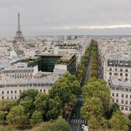 The Greening of Paris Makes Its Mayor More Than a Few Enemies