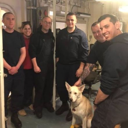 This Canadian dog came back home thanks to the United States Coast Guard