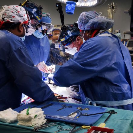 U.S. man recovering after 'breakthrough' pig-heart transplant