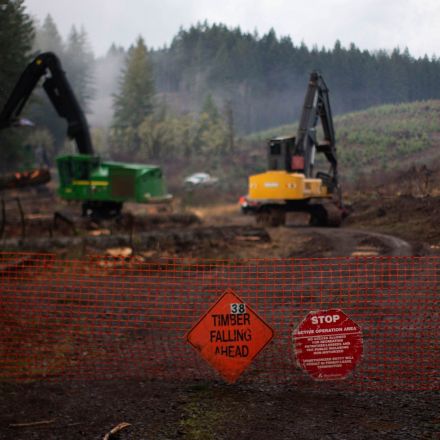 Big Money Bought the Forests. Small Logging Communities Are Paying the Price.