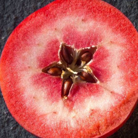 Weird new fruits could hit aisles soon thanks to gene-editing