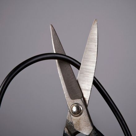It's Official: 2020 Is Cord Cutting's Pivotal Moment
