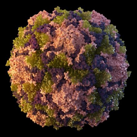 Polio detected in NYC's sewage, suggesting virus circulating