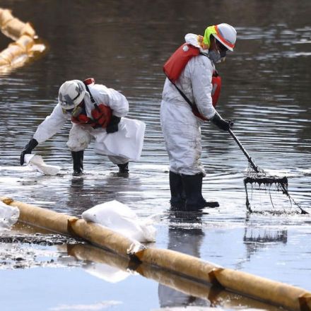California declares state of emergency in response to massive oil spill