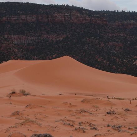 Boy dies after being buried under sand dune at state park