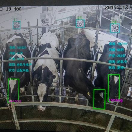 Orwell’s nightmare? Facial recognition for animals promises a farmyard revolution.