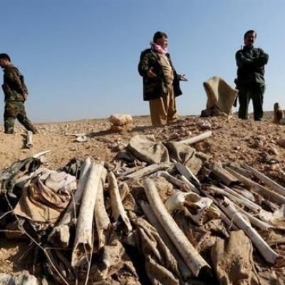 A new mass grave containing the bodies of more than 340 members of Izadi minority found in Iraq