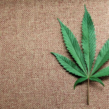 U.S. House of Representatives approves cannabis banking bill