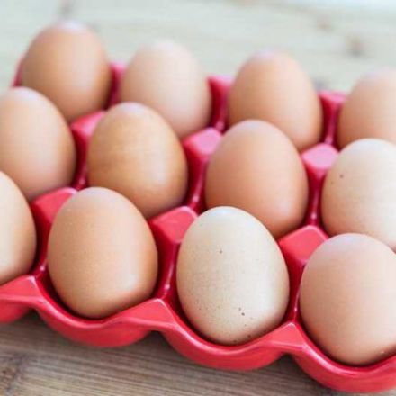 Choline Plays a Role in Cardiovascular and Brain Health in Older Adults
