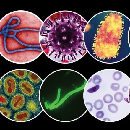 What Is The Most Dangerous Pathogen?