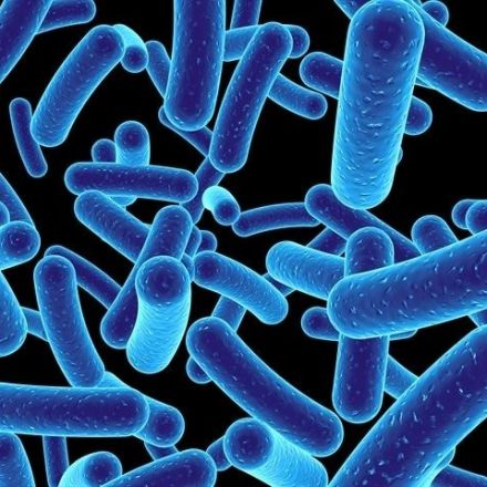 Study uncovers a strong link between gut bacteria and development of Parkinson’s disease