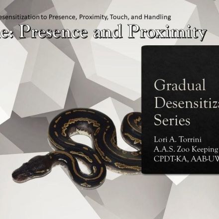 Gradual Desensitization Part One: Presence and Proximity