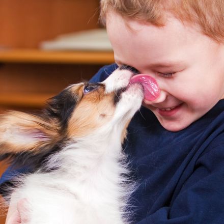 Rare Human Syndrome May Explain Why Dogs are So Friendly