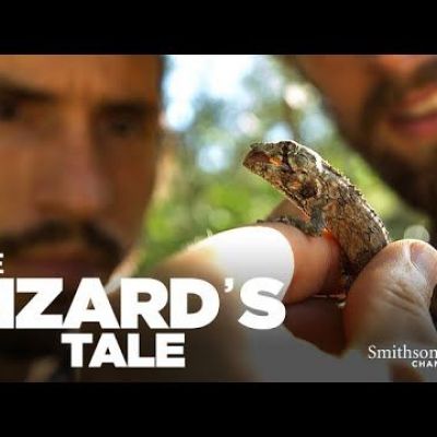 The Lizard's Tale 105: Island Test Tubes, Part 1
