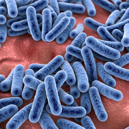 Lower bacterial diversity is associated with irritable bowel syndrome