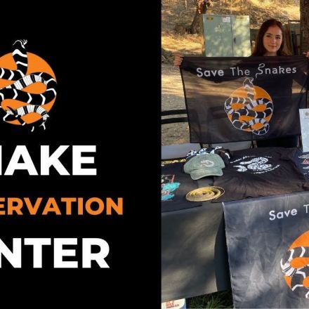 Tour the Snake Conservation Center in Sacramento, California