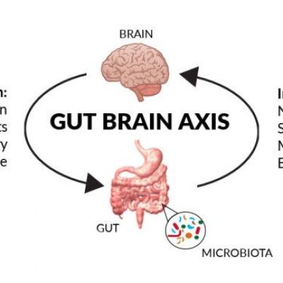 Microbiome—The Missing Link in the Gut-Brain Axis: Focus on Its Role in Gastrointestinal and Mental Health