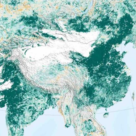NASA Happily Reports the Earth is Greener, With More Trees Than 20 Years Ago–and It's Thanks to China, India