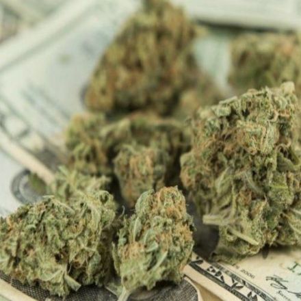 Nevada County Directs Nearly $2 Million in Pot Revenue to Help the Homeless