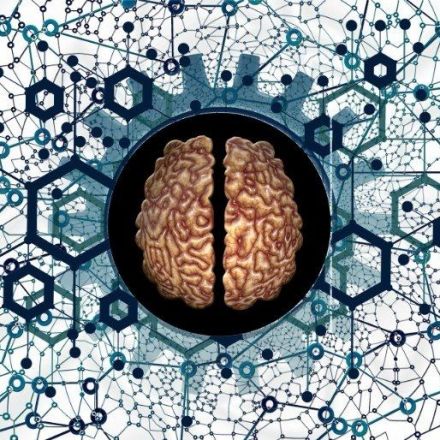 Machine Intelligence Accelerates Research Into Mapping Brains
