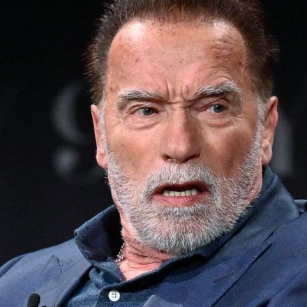 Arnold Schwarzenegger Detained At Munich Airport Over Luxury Watch
