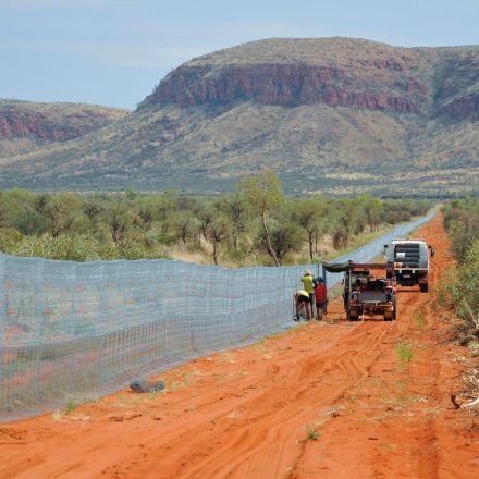 Australia completes world's largest cat-proof fence to protect endangered marsupials