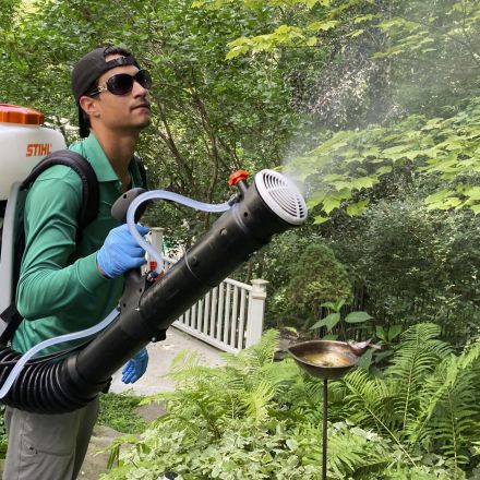 Backyard mosquito spraying booms, but may be too deadly