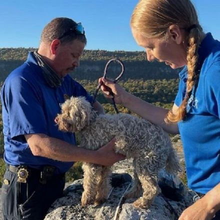 Lucky Dog! Pooch trapped in crevice 5 days rescued, unharmed