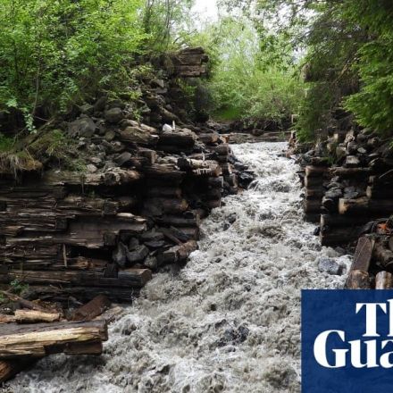 Dam fine work: record number of barrier removals helps restore rivers across Europe