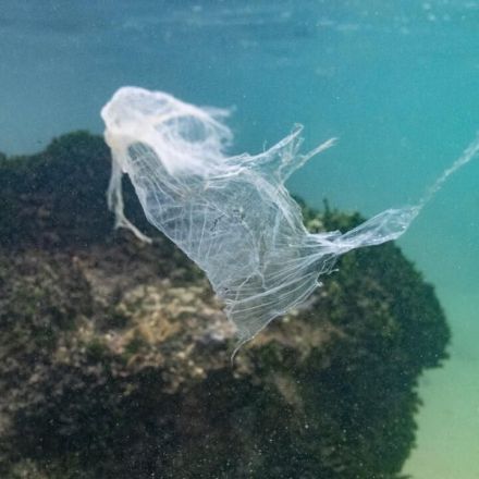 Plastic pollution in oceans has reached 'unprecedented' levels in 15 years