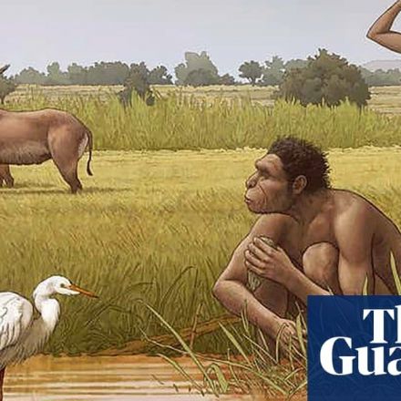 Human species who lived 500,000 years ago named as Homo bodoensis