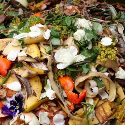 Tesco to go 'food waste free' by February