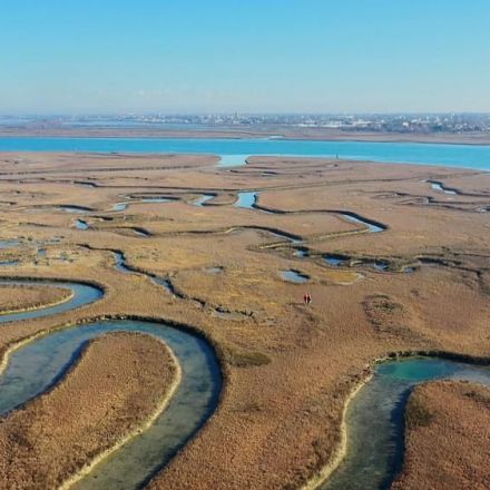 The wonder of wetlands: the secret weapon in the battle against climate change