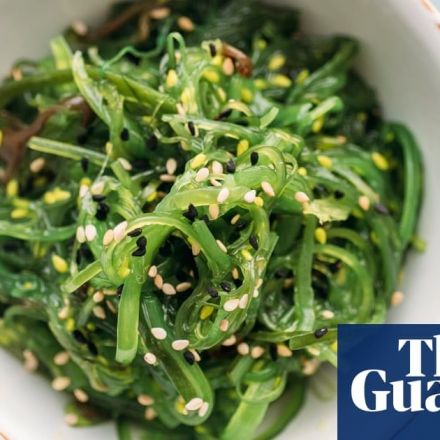 Eat this to save the world! The most sustainable foods – from seaweed to venison