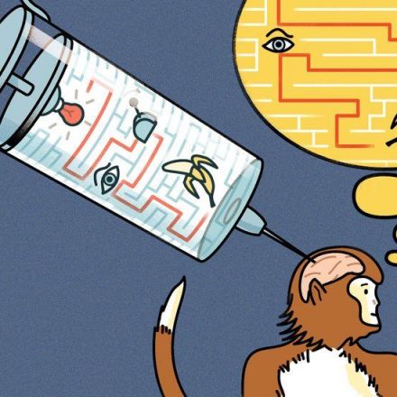 Scientists ‘Inject’ Information Into Monkeys’ Brains