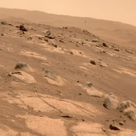 Life detected on Mars might have actually originated in NASA labs, according to an Ivy League scientist